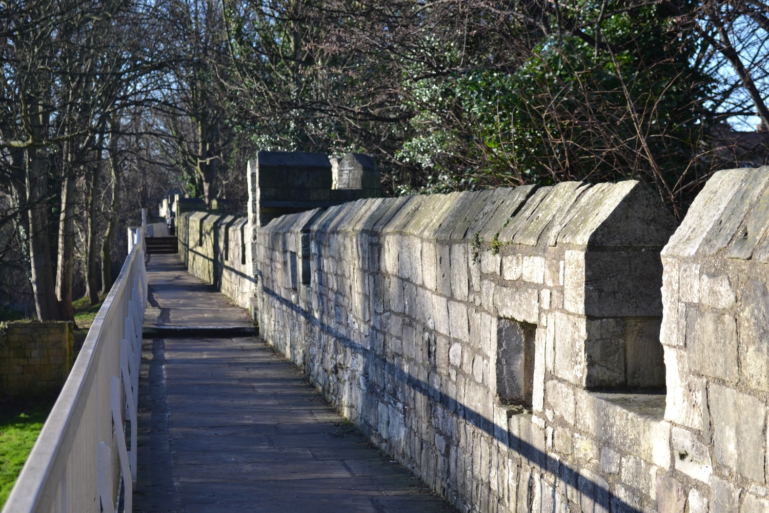 York City Wall. 2014