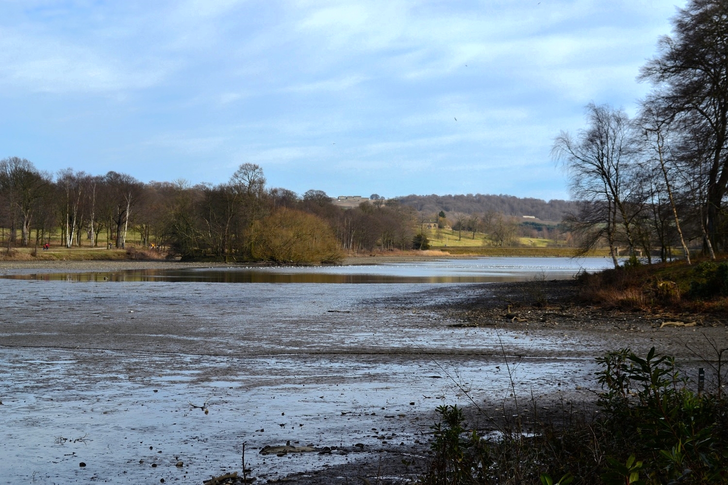 Lower Lake near Stepping Stones, 2015