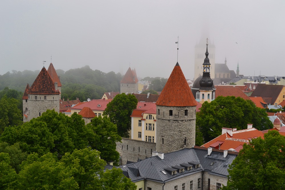 Tallinn City, 2015
