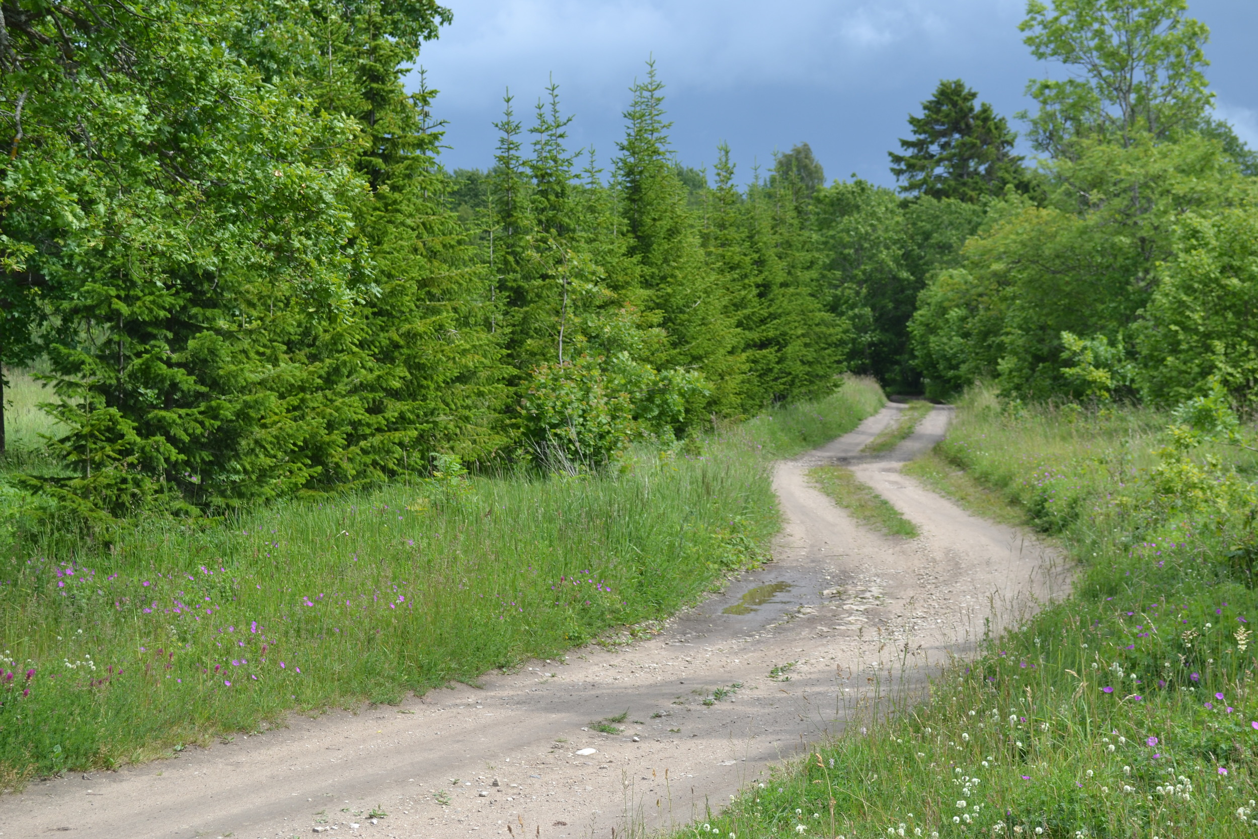 To the Beach, 2015