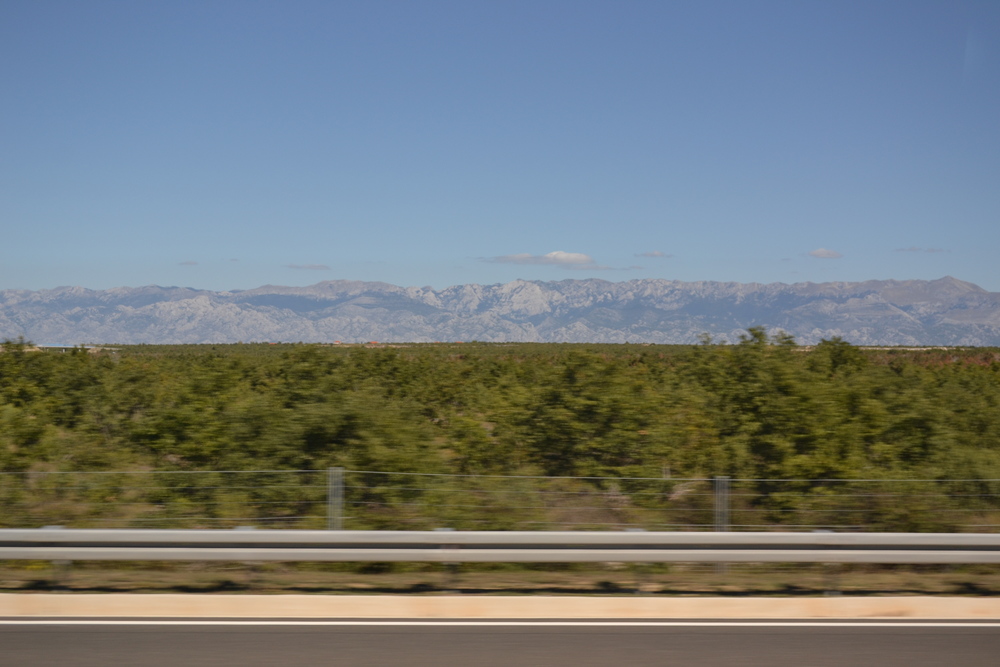 DSC_0037.JPG