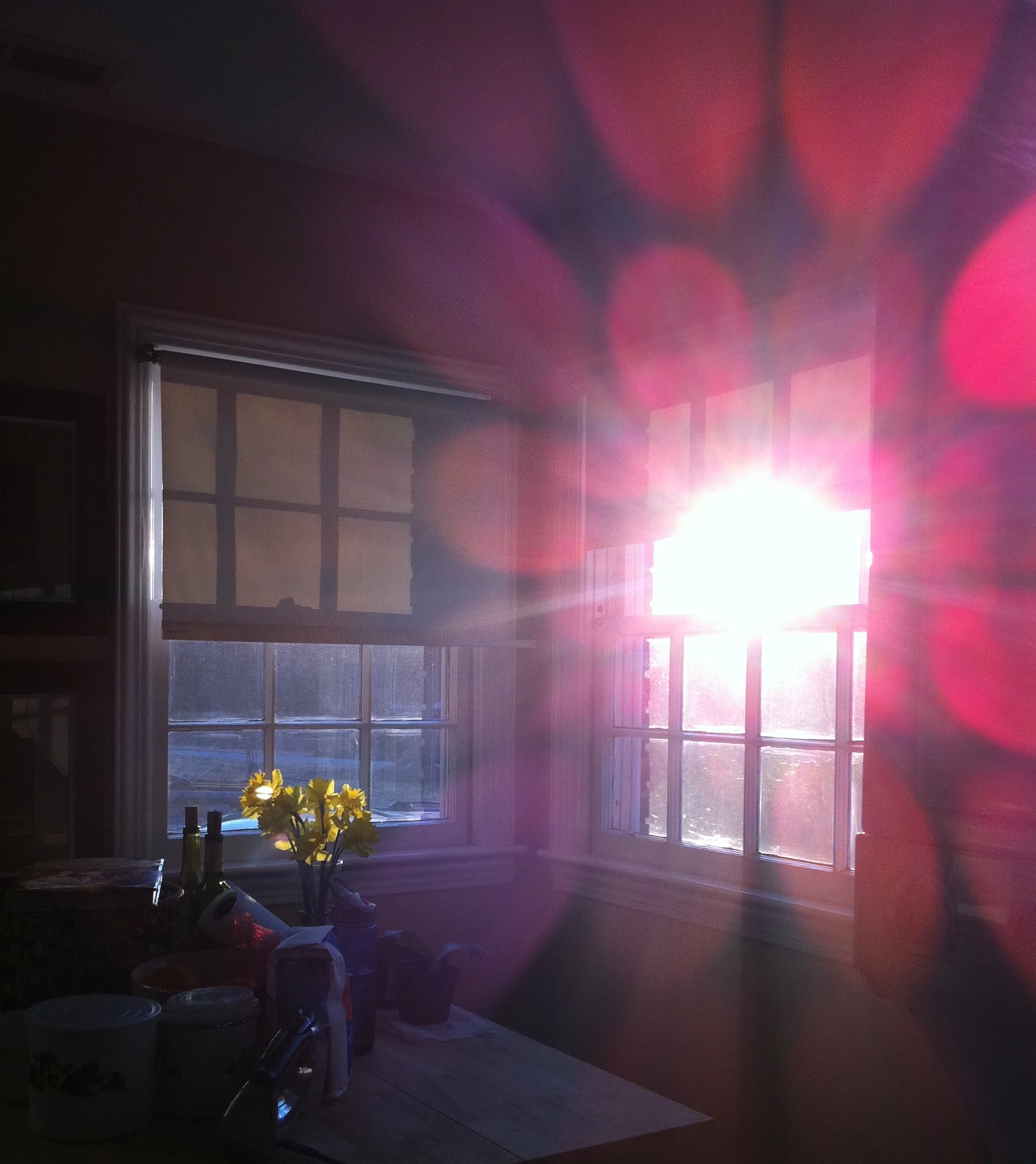 2013-02-03 17.19.31 2.jpg