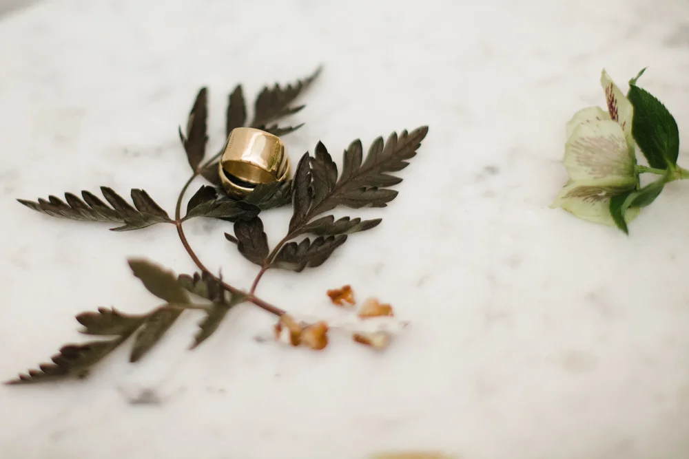 Rings by Ryan & Whitney: hand carved in 14 and 18k yellow gold Photo by Angela and Evan