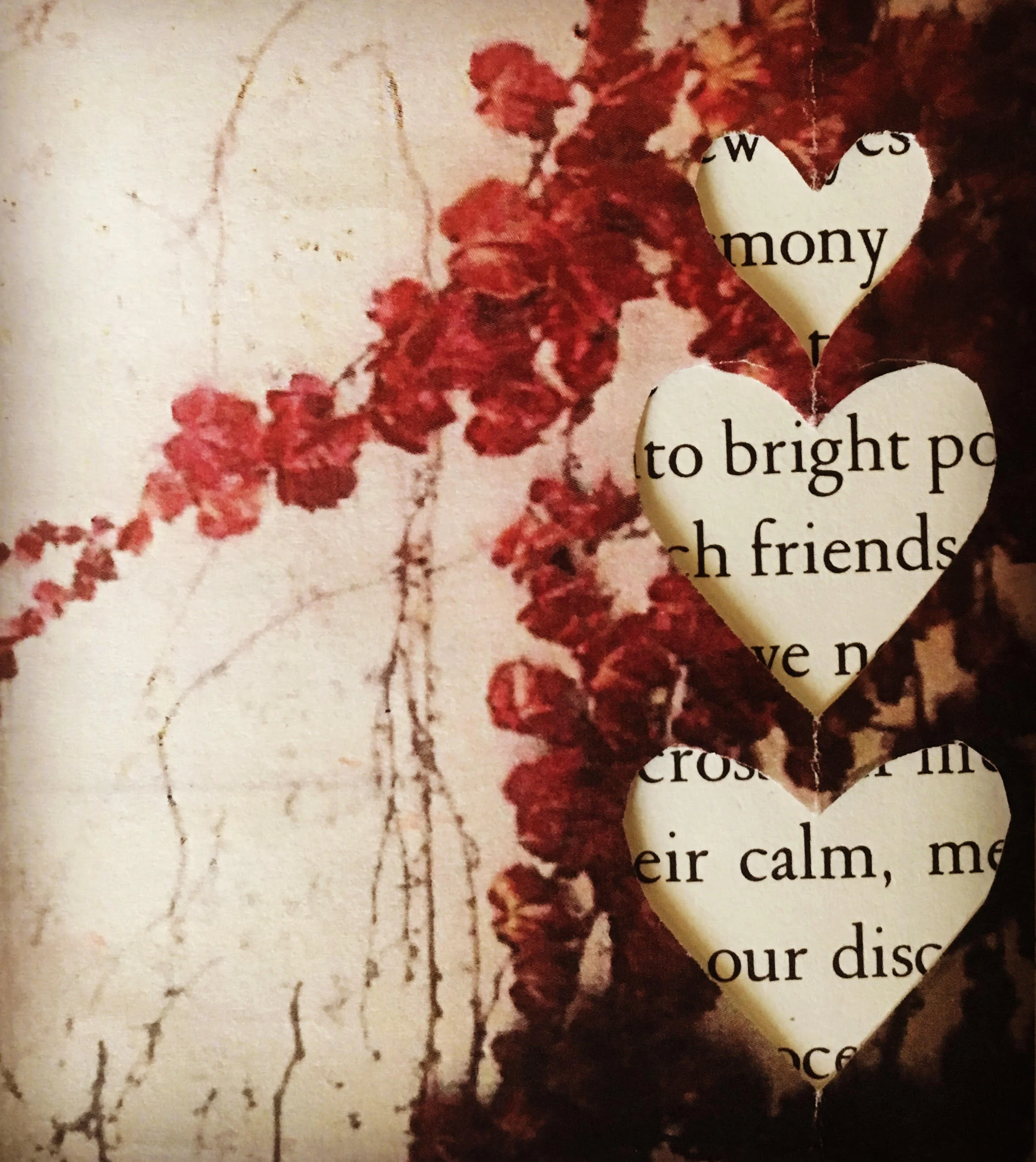 Photo c/o Port Townsend School of the Arts