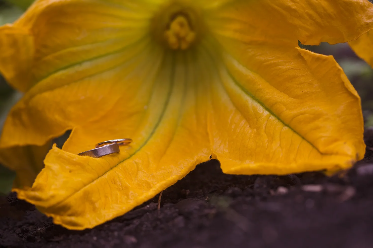 FF3B9015-Edit.jpg