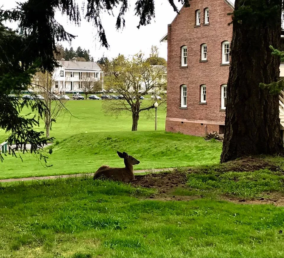 Photo Credit: Fort Worden