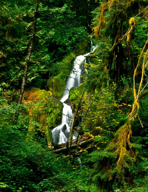 Photo Credit: Olympic Waterfall Trail/Lani Doely Photography