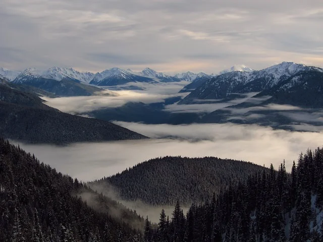Hurricane Ridge Photo Credit: National Park Service