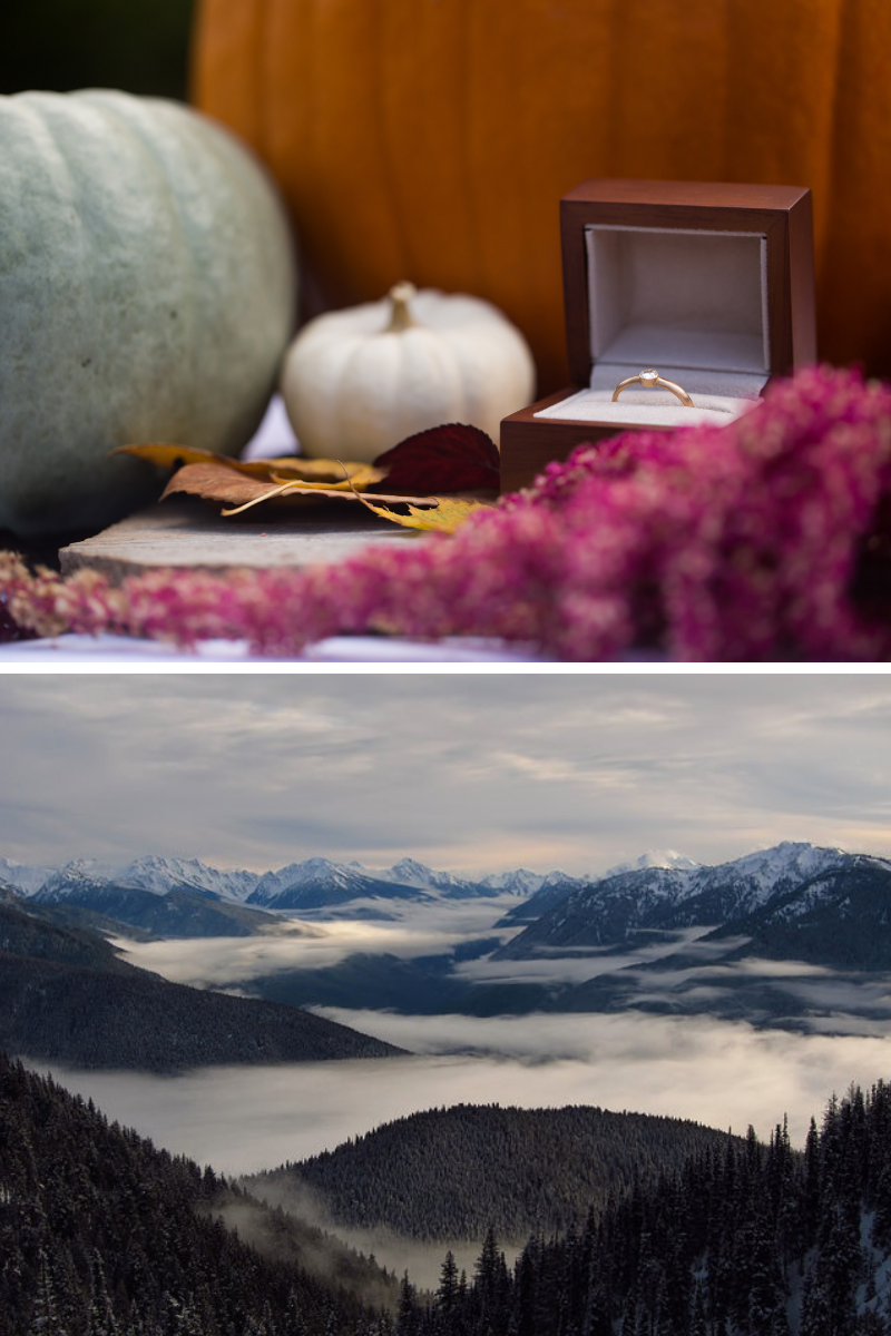 5 Incredible Washington Proposal Locations
