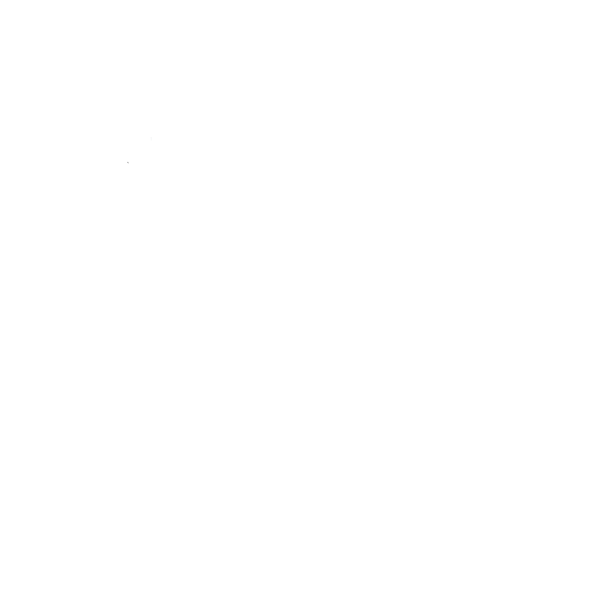 Austin Home Brew Festival