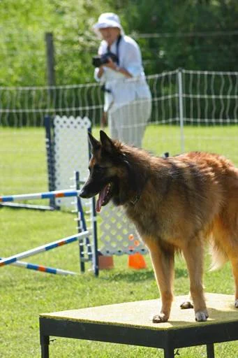 image009.jpg