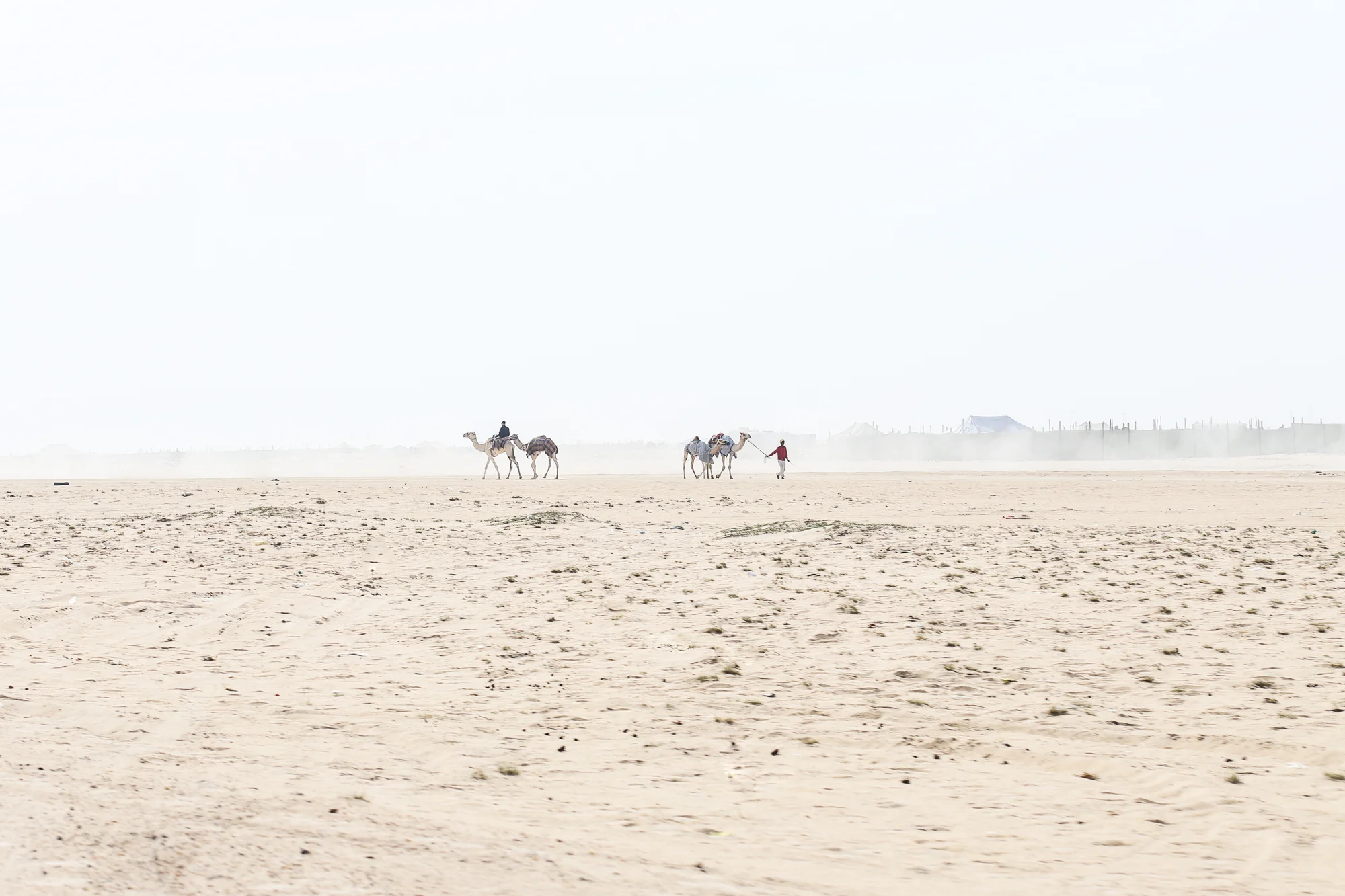 TinaB-171230-6575.jpg
