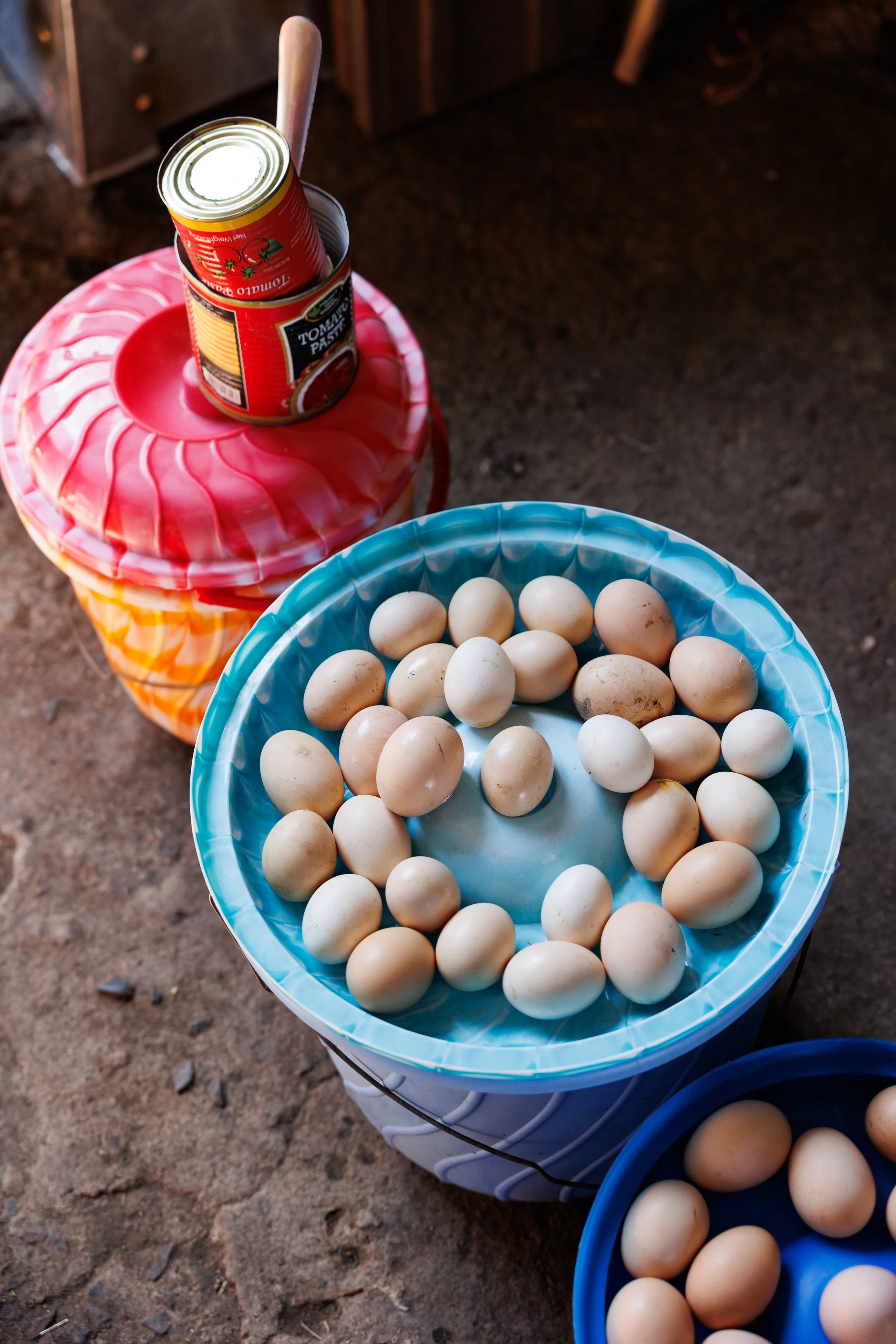 260107 TinaBFoto --1145.jpg