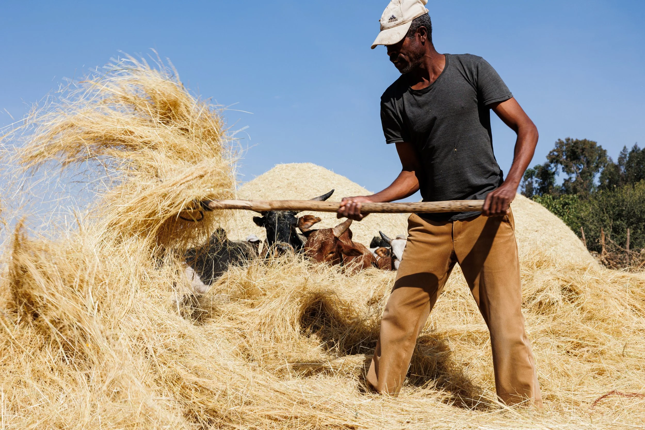 260108 TinaBFoto --2281.jpg