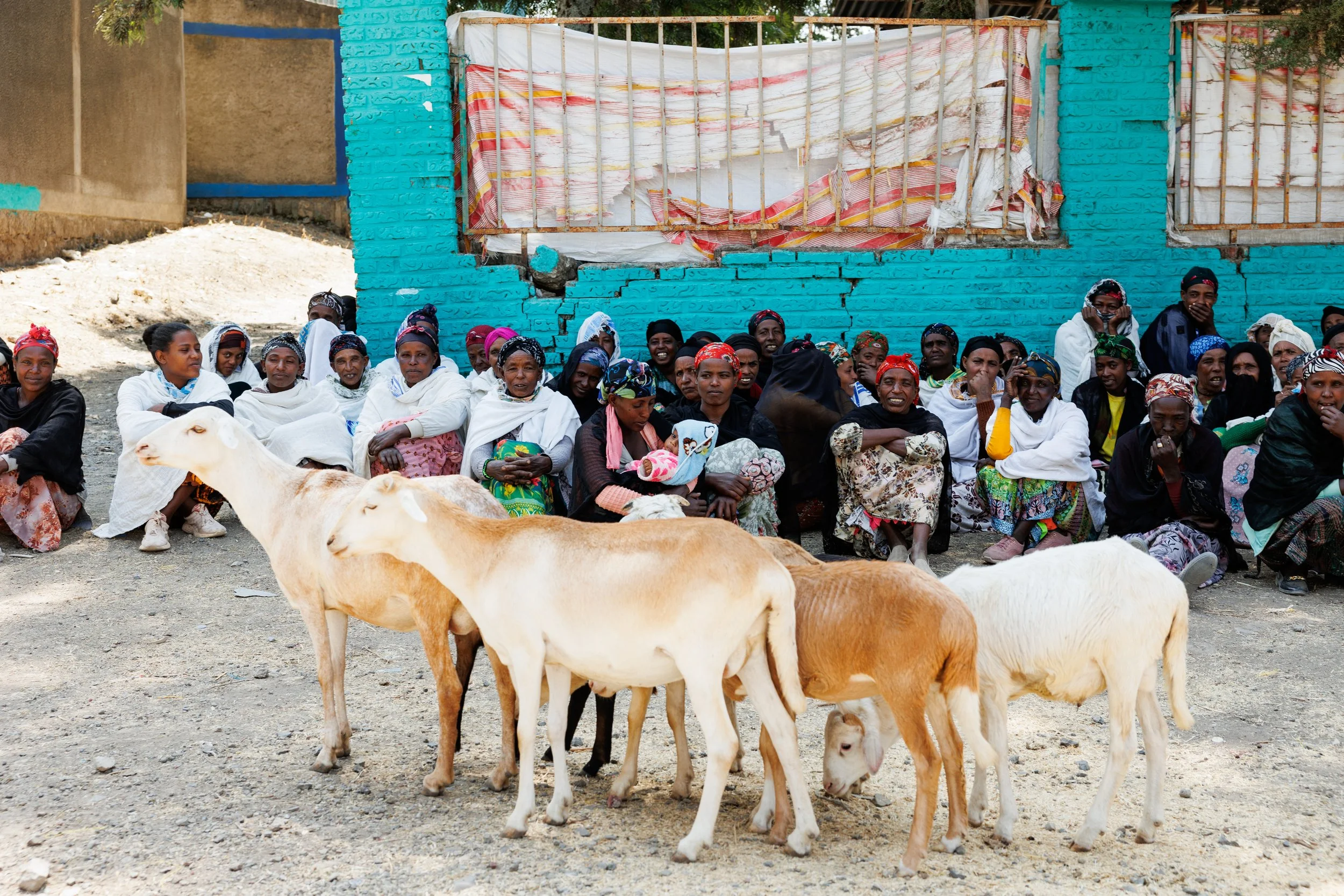 260108 TinaBFoto --3042.jpg