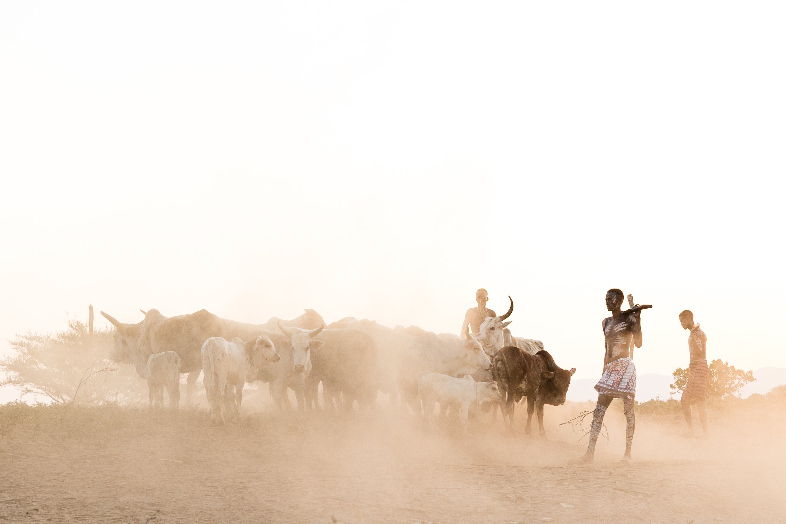 260111 TinaBFoto --5907.jpg