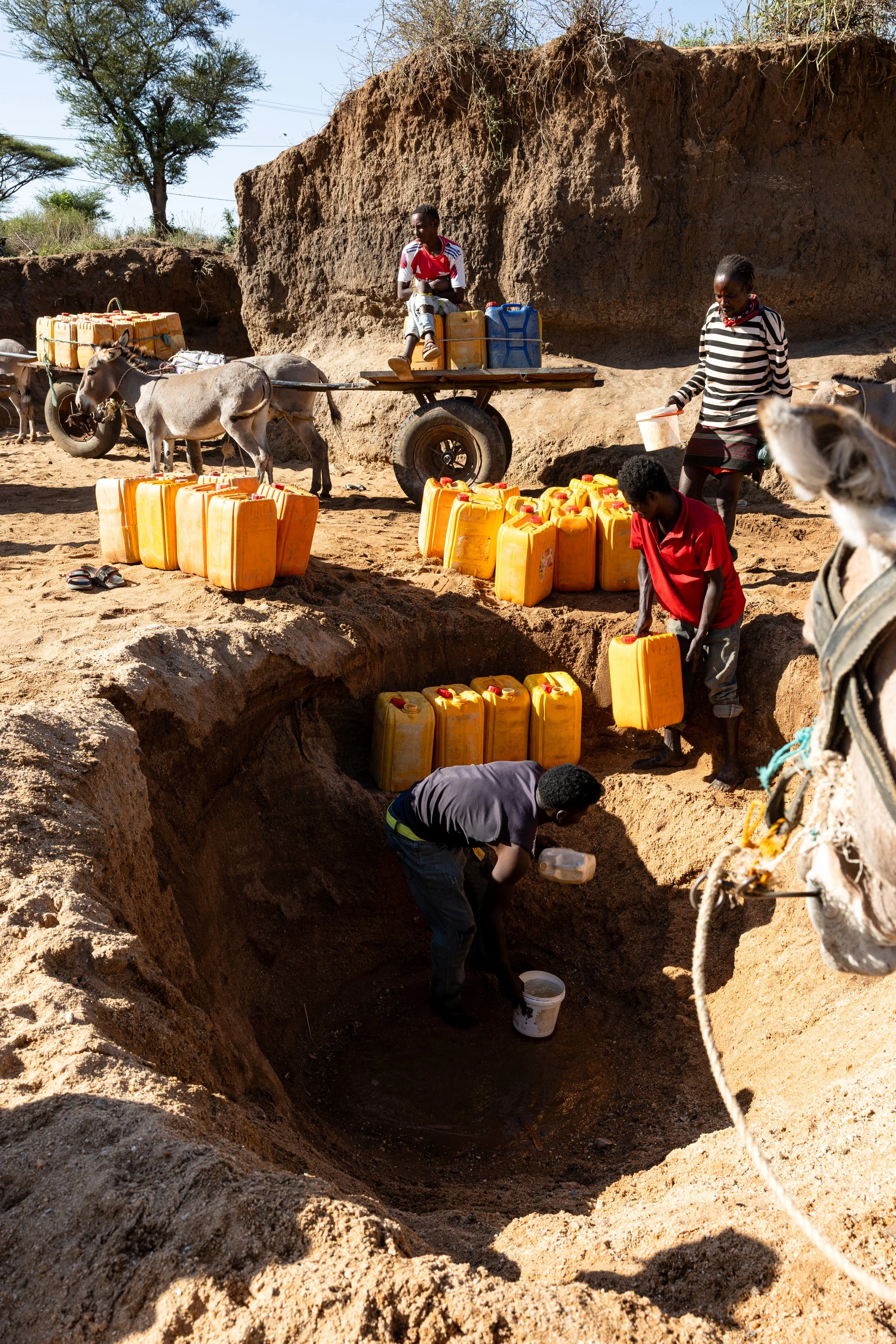 260114 TinaBFoto --0544.jpg