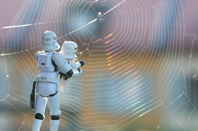Credits to Kristina Alexanderson: www.facebook.com/cclones
