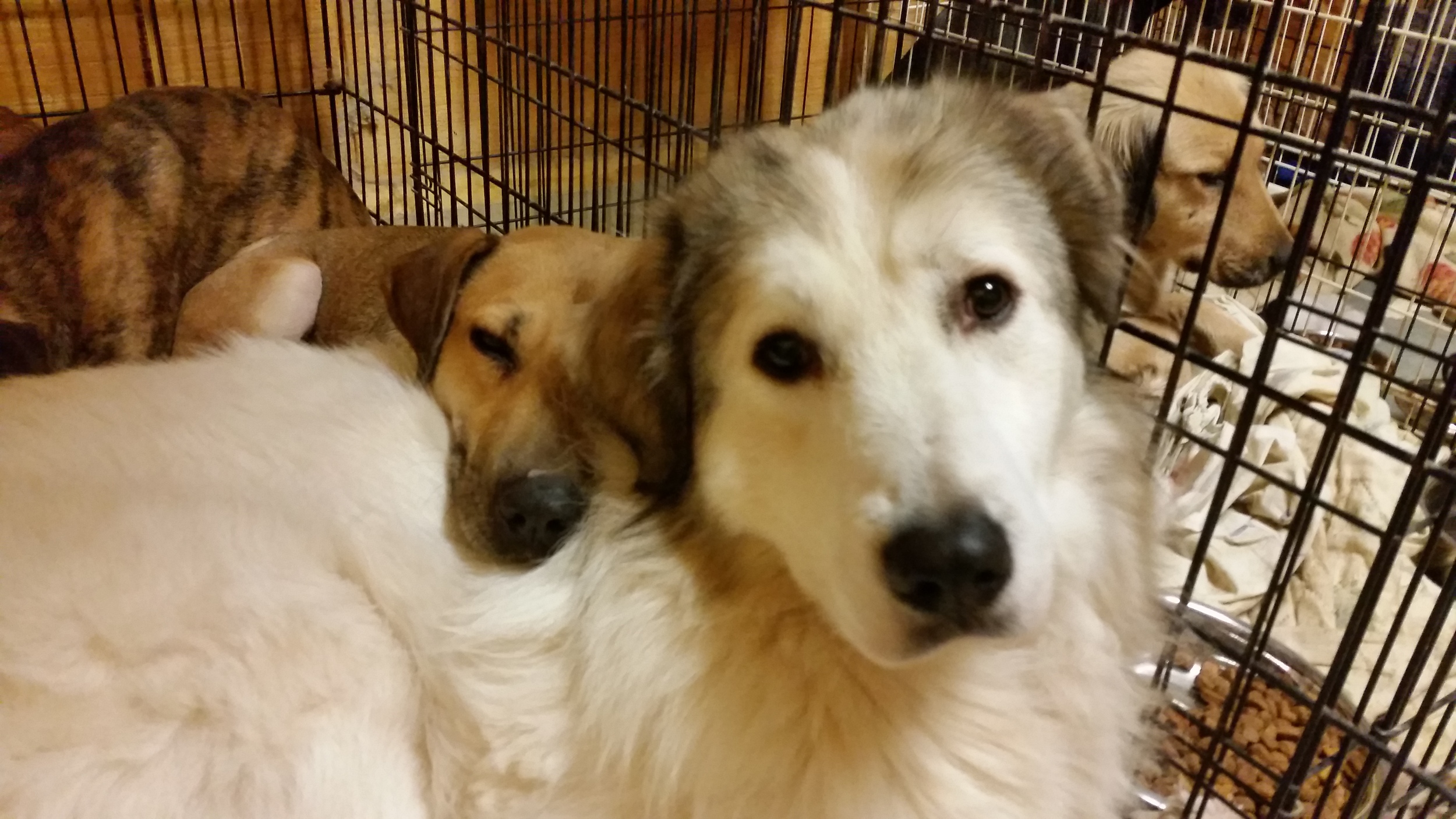 Dusty and Shay.jpg