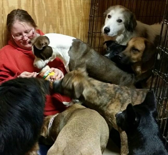 Humans aren't so scary when they have cans of yummy wet food!
