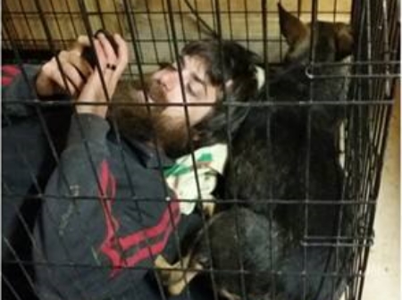 Volunteers spend a lot of in the feral room just laying in kennels.!