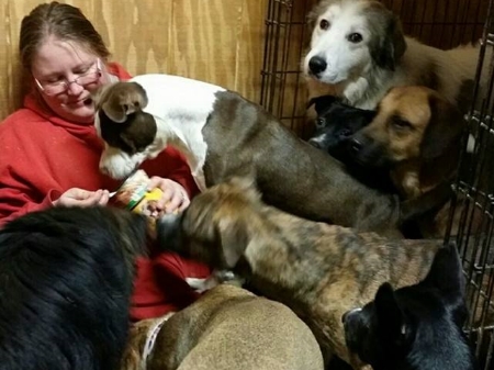 Not all of the ferals are quite so shy when it comes to hand feeding time!