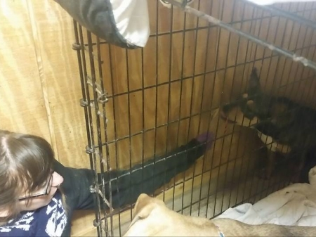 Even with the yummy food it is difficult for some dogs to work up the courage to approach. Zara went 4 months without accepting food from us. Even once she did it had to be on her terms, Which is fine by us!