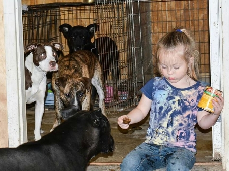 Hand feeding is a great way to introduce the ferals to other unfamiliar things such as children.