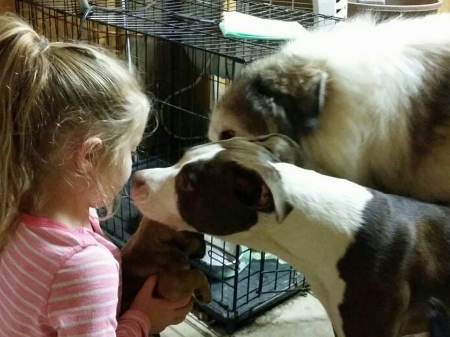 After a little bit of time and hand feeding it turns out that children aren't so foreign and scary after all. Ava is now one of the feral's favorite people!