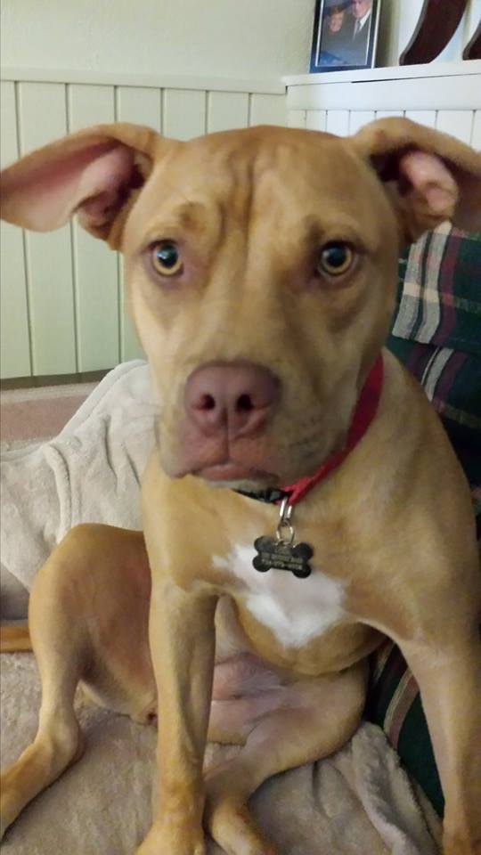 Lola.jpg