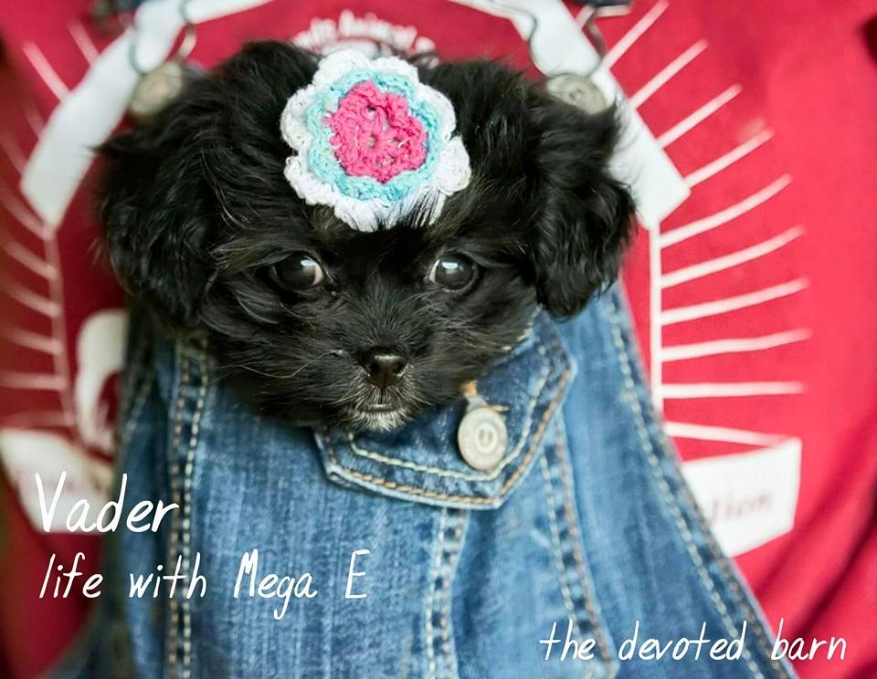 Vader 2.jpg