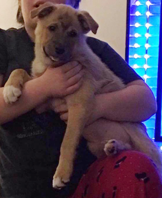 Max.jpg