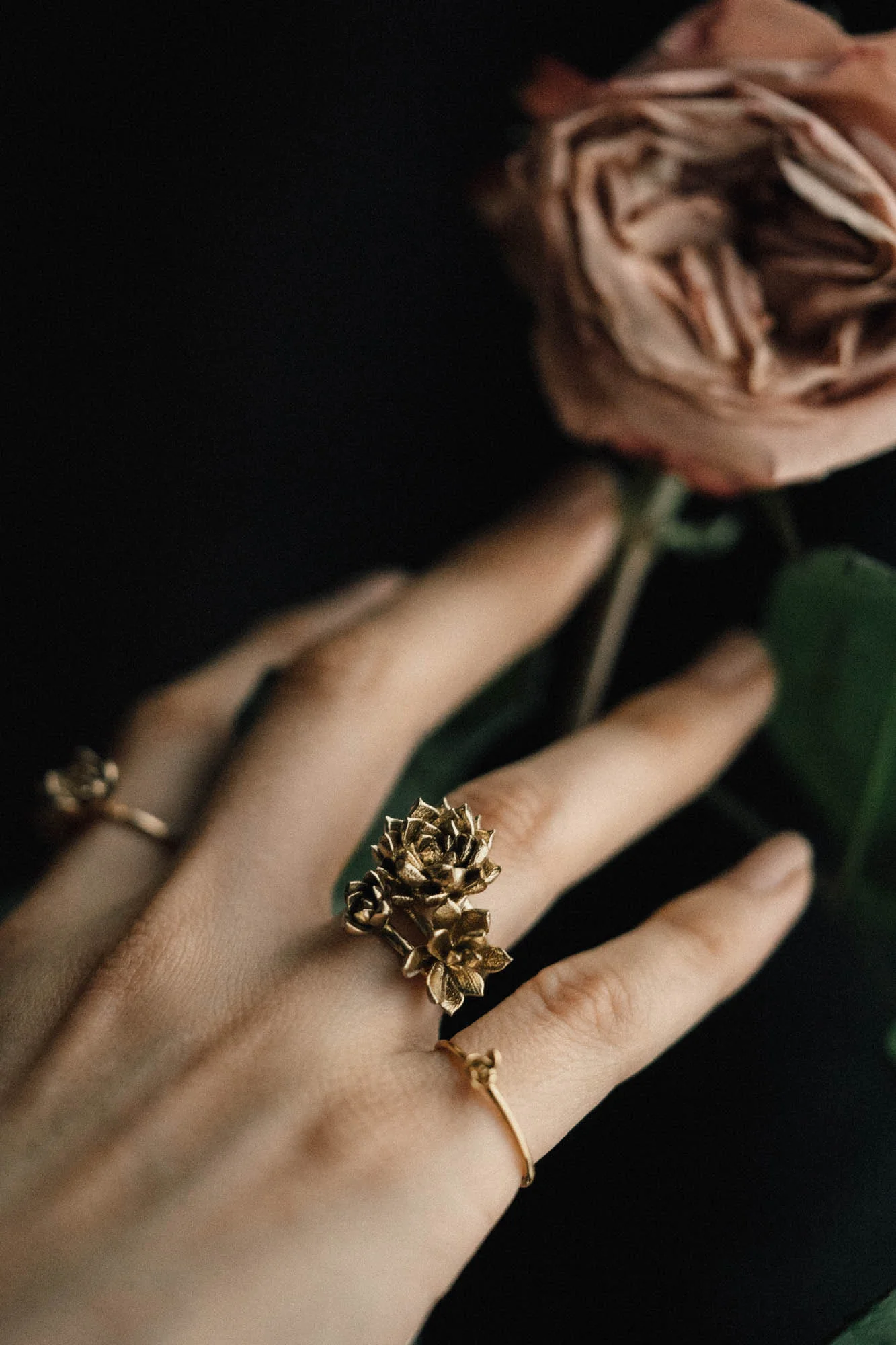 Succulent Ring Group 2.jpg