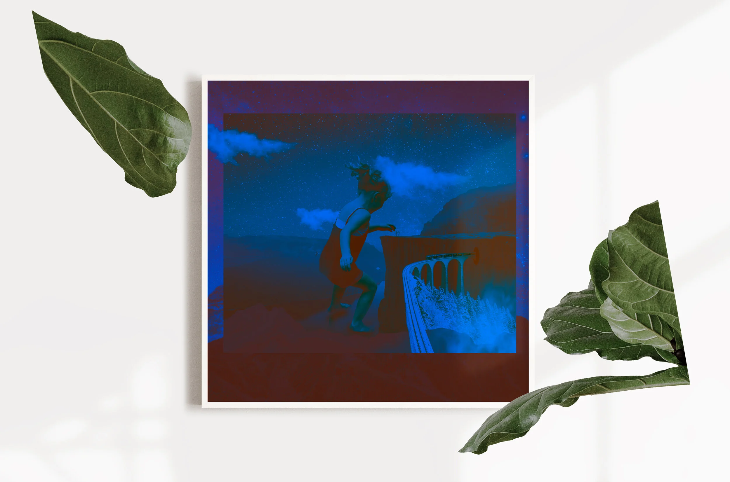 Mockup_Lucy'sDream.jpg