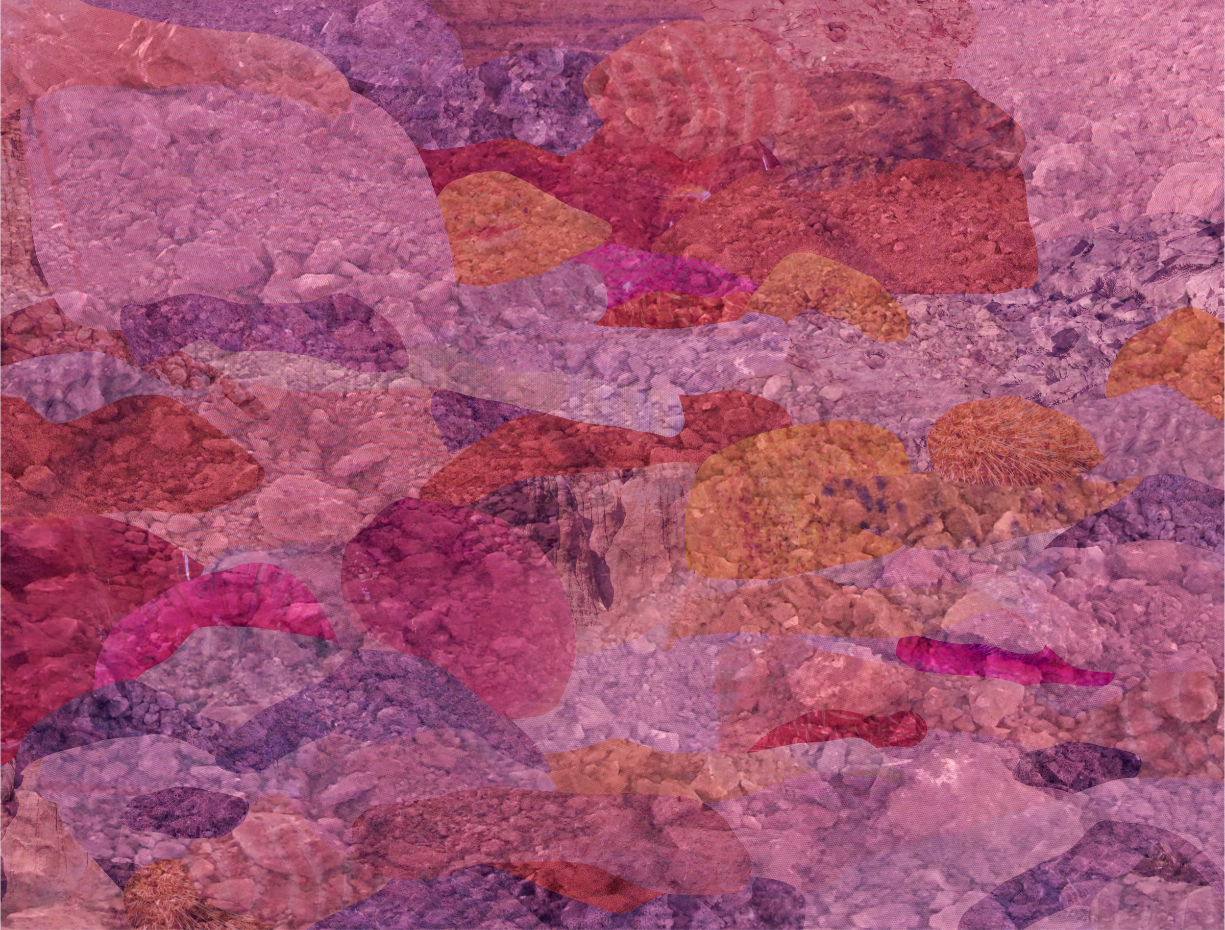 6Nature Calling_profiles_iolanthe iezzi 4.png