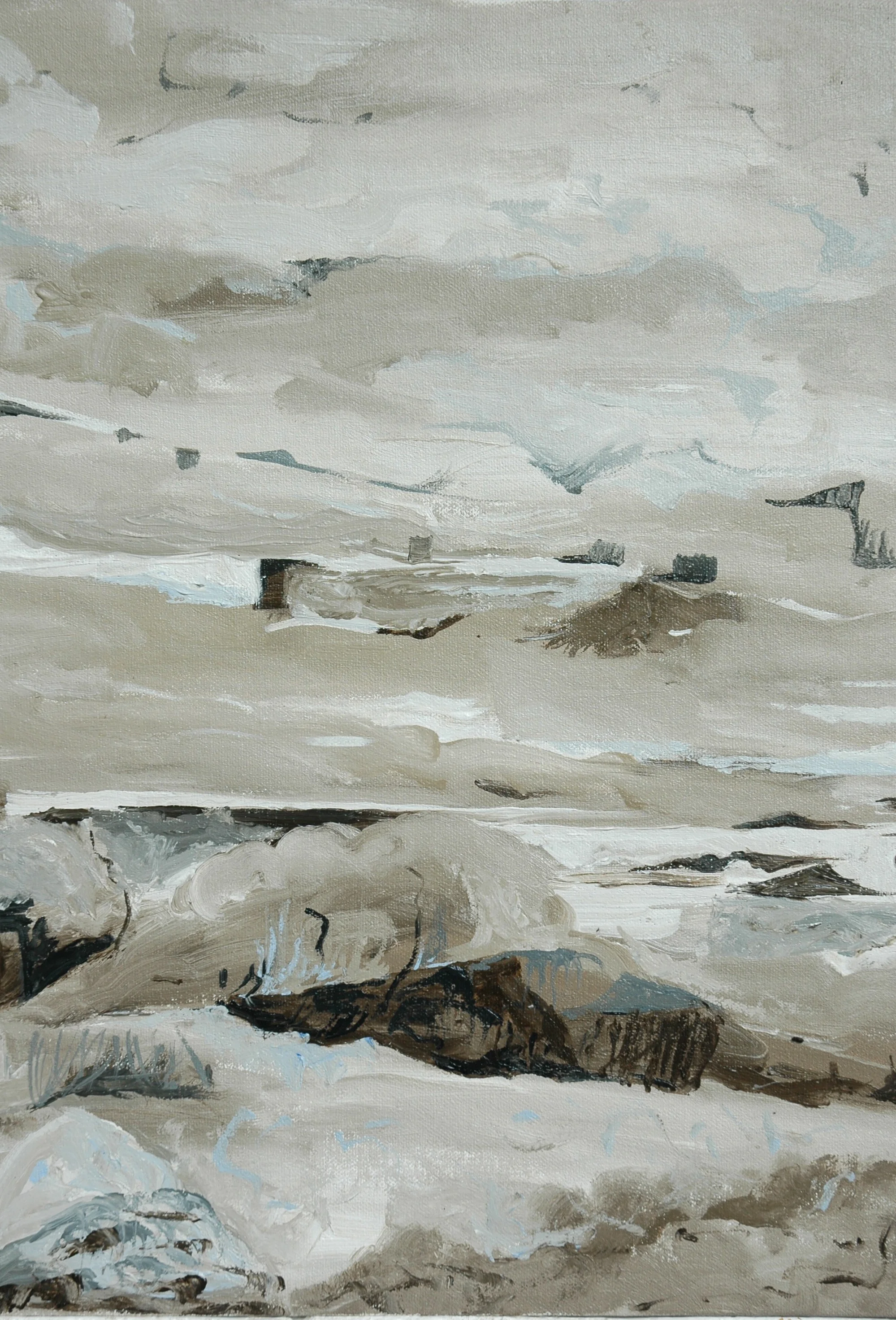 Shadows Off Wallunga Track 2.JPG