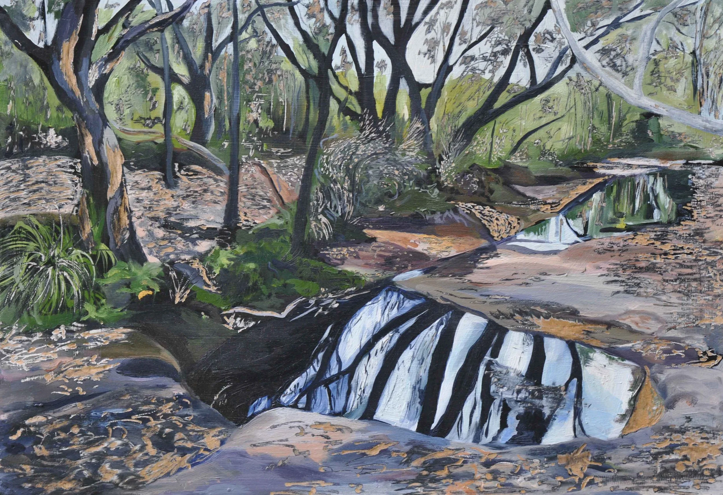 Title: Salvation Creek 
