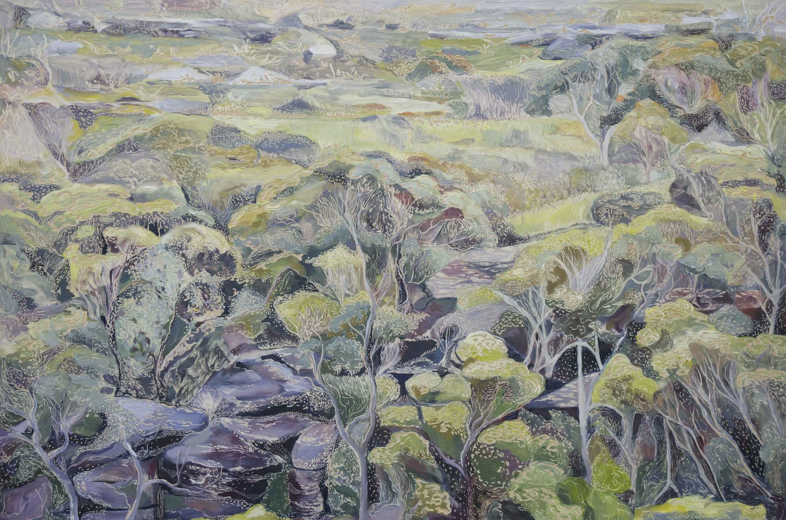 Title: North Off the Waratah Track