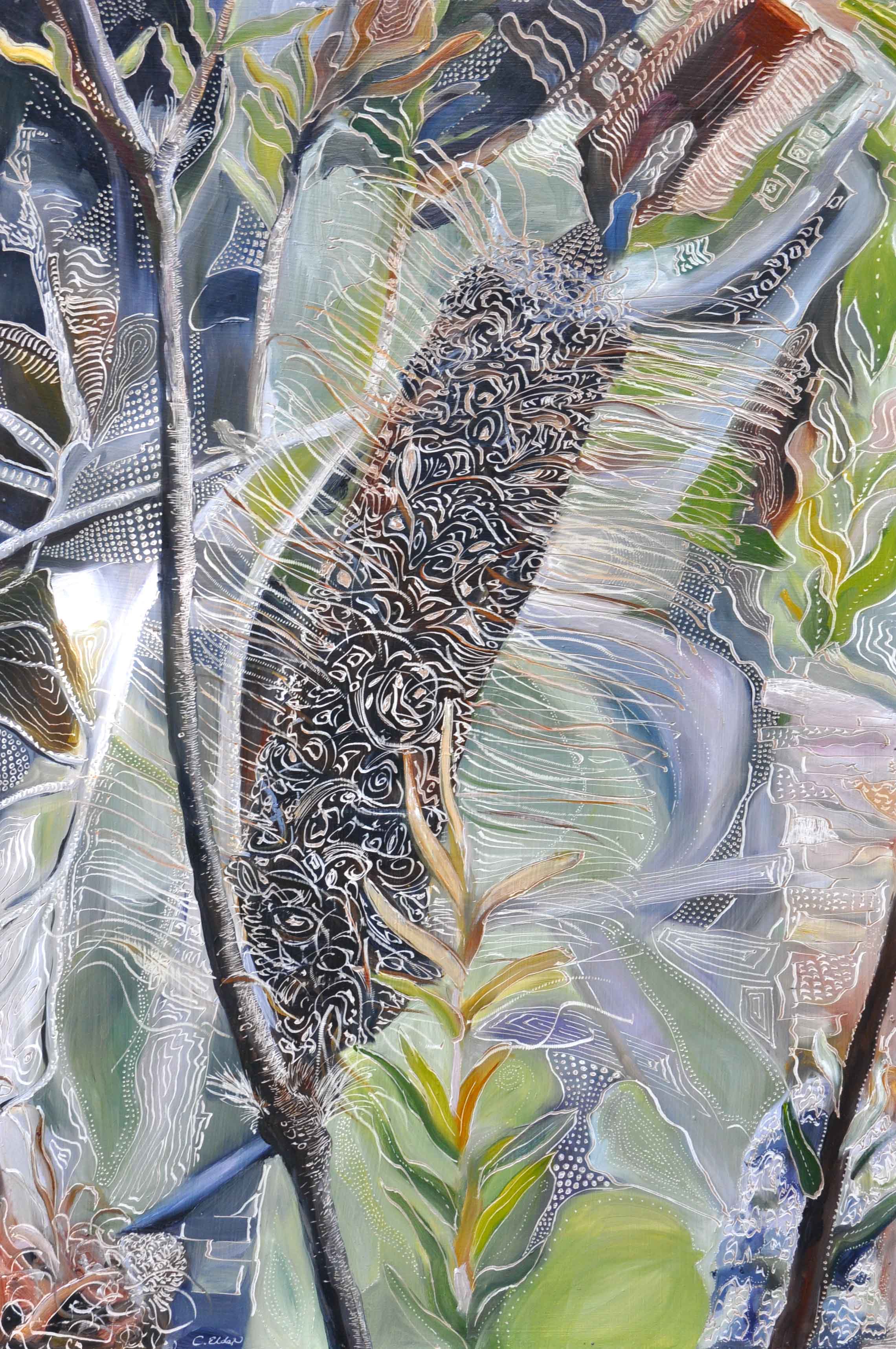 Title: Banksia ericifolia - Passing 