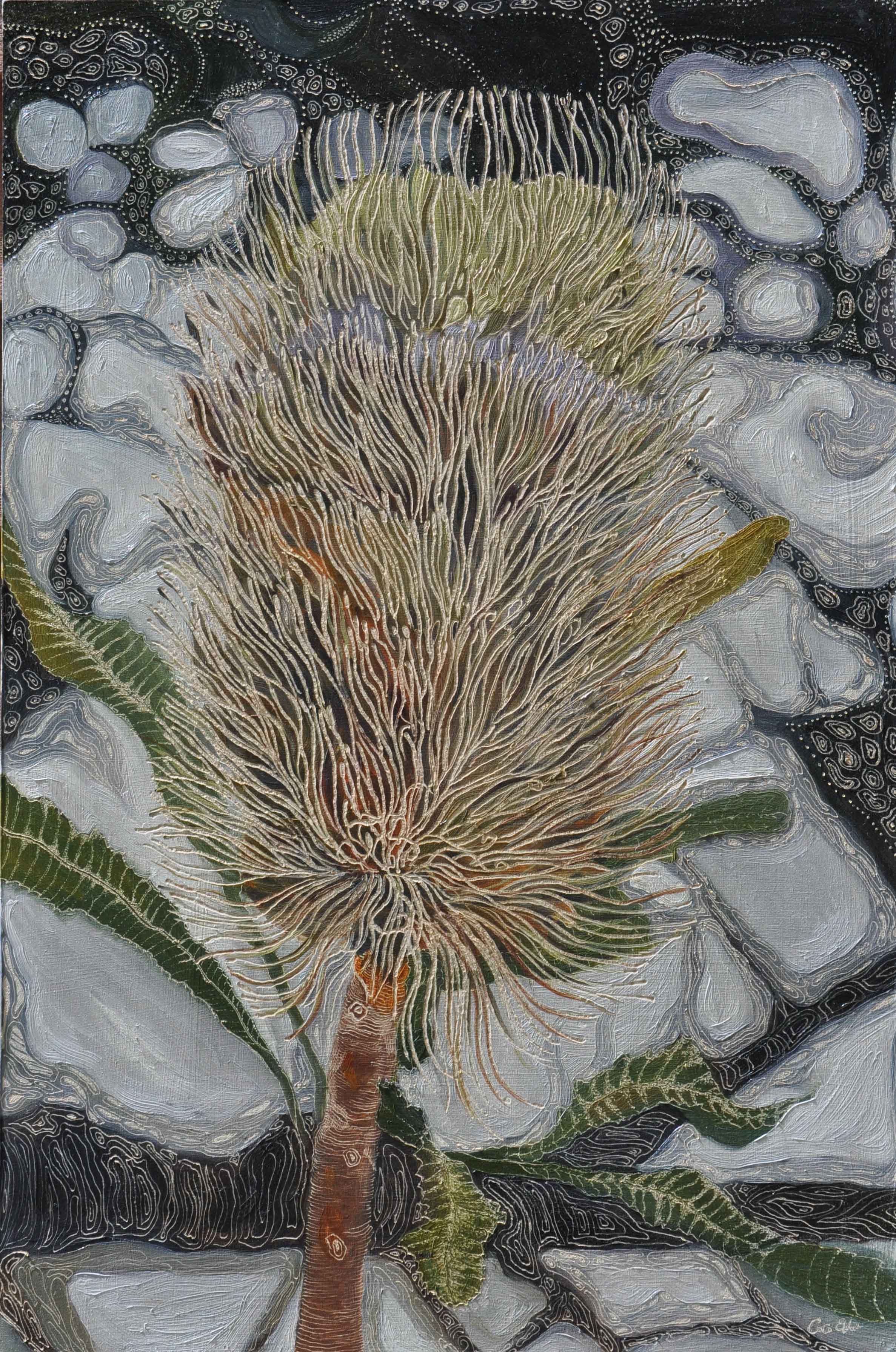 Title: Old Man Banksia- New World