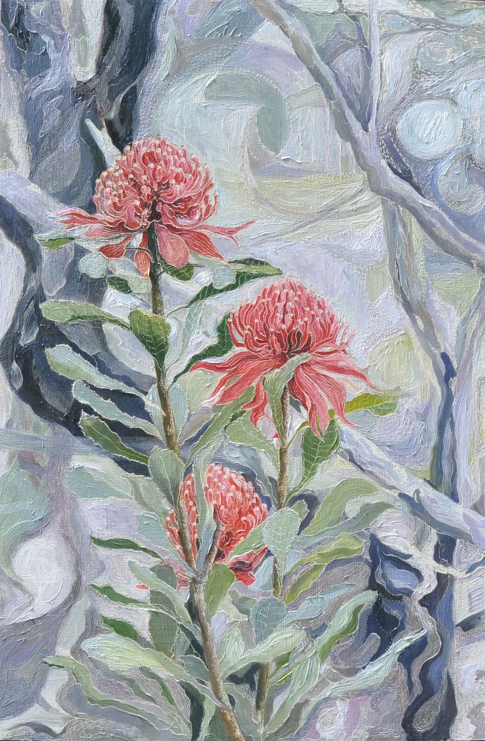 Title: Telopea - Stars in the Wet