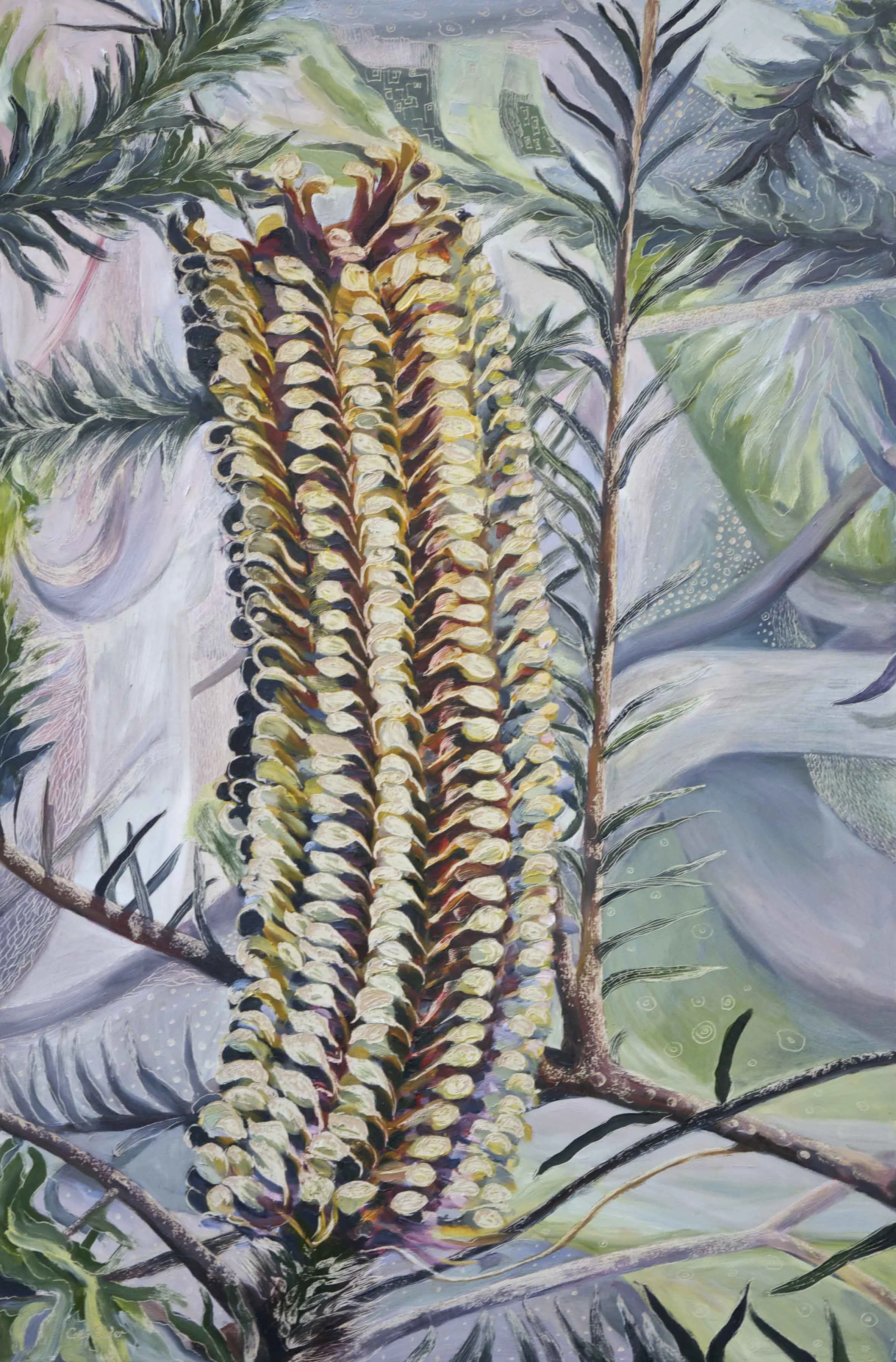 Title: New Banksia ericifolia in the Wet
