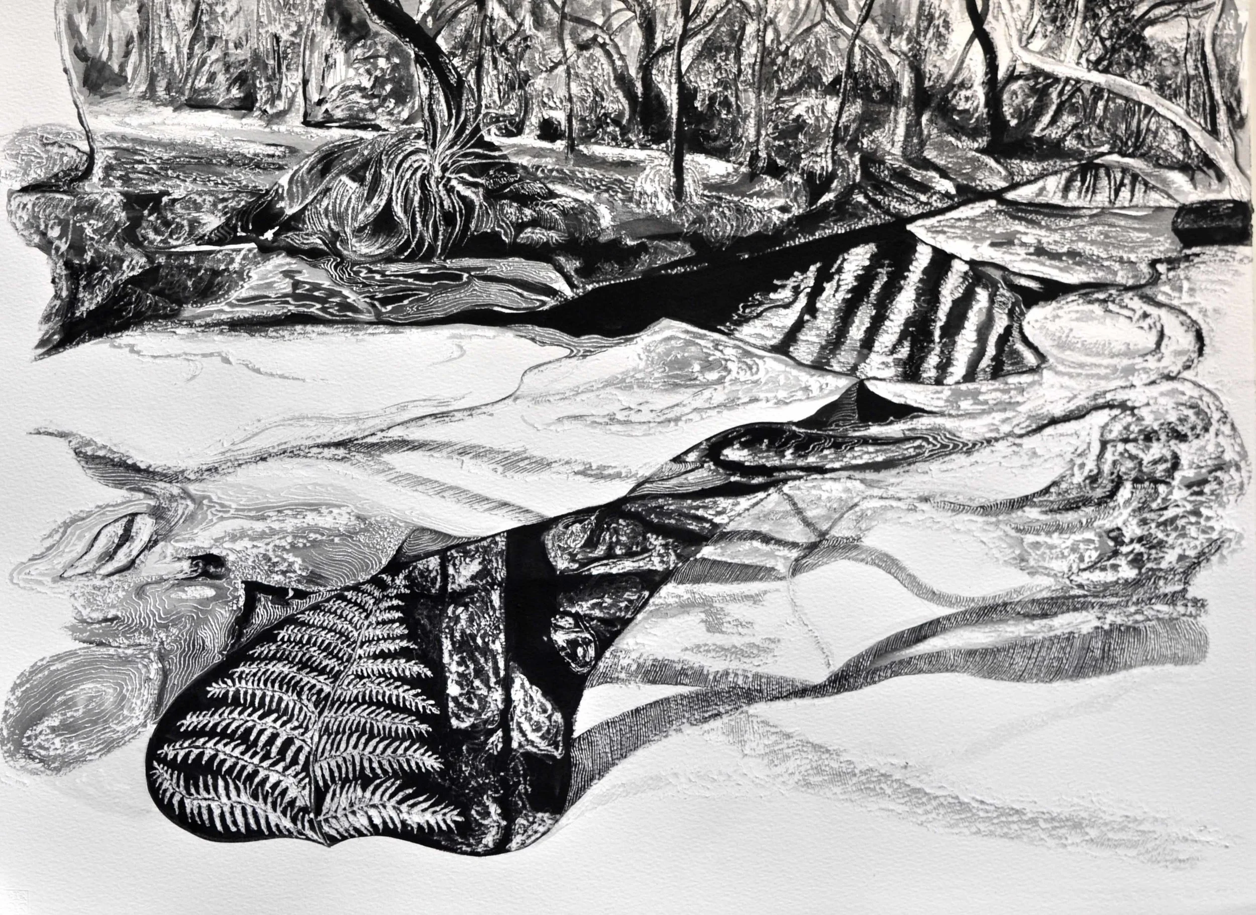 The Negative of the Reflection - Salvation Creek .jpg