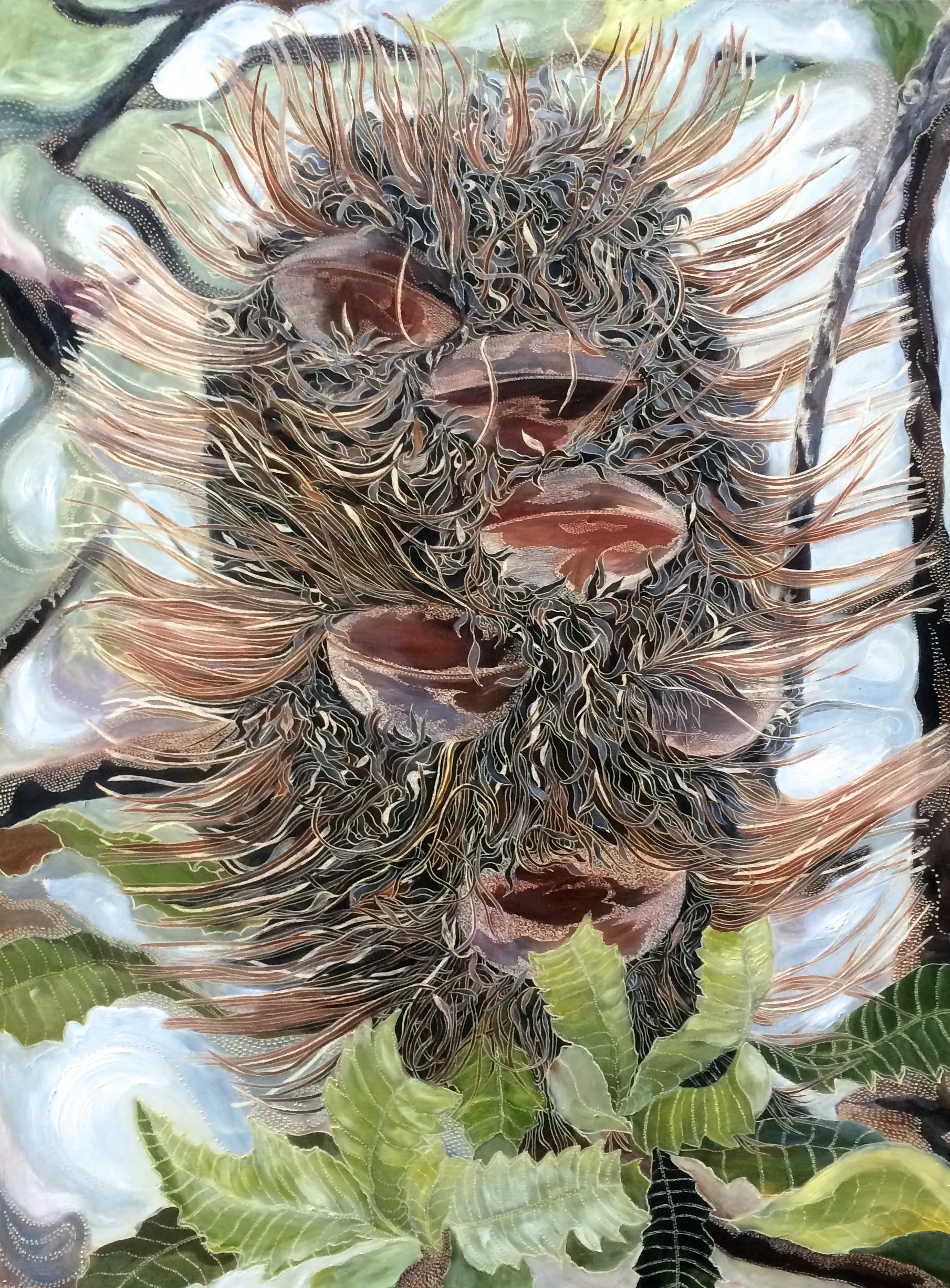 Homage to Old Man Banksia