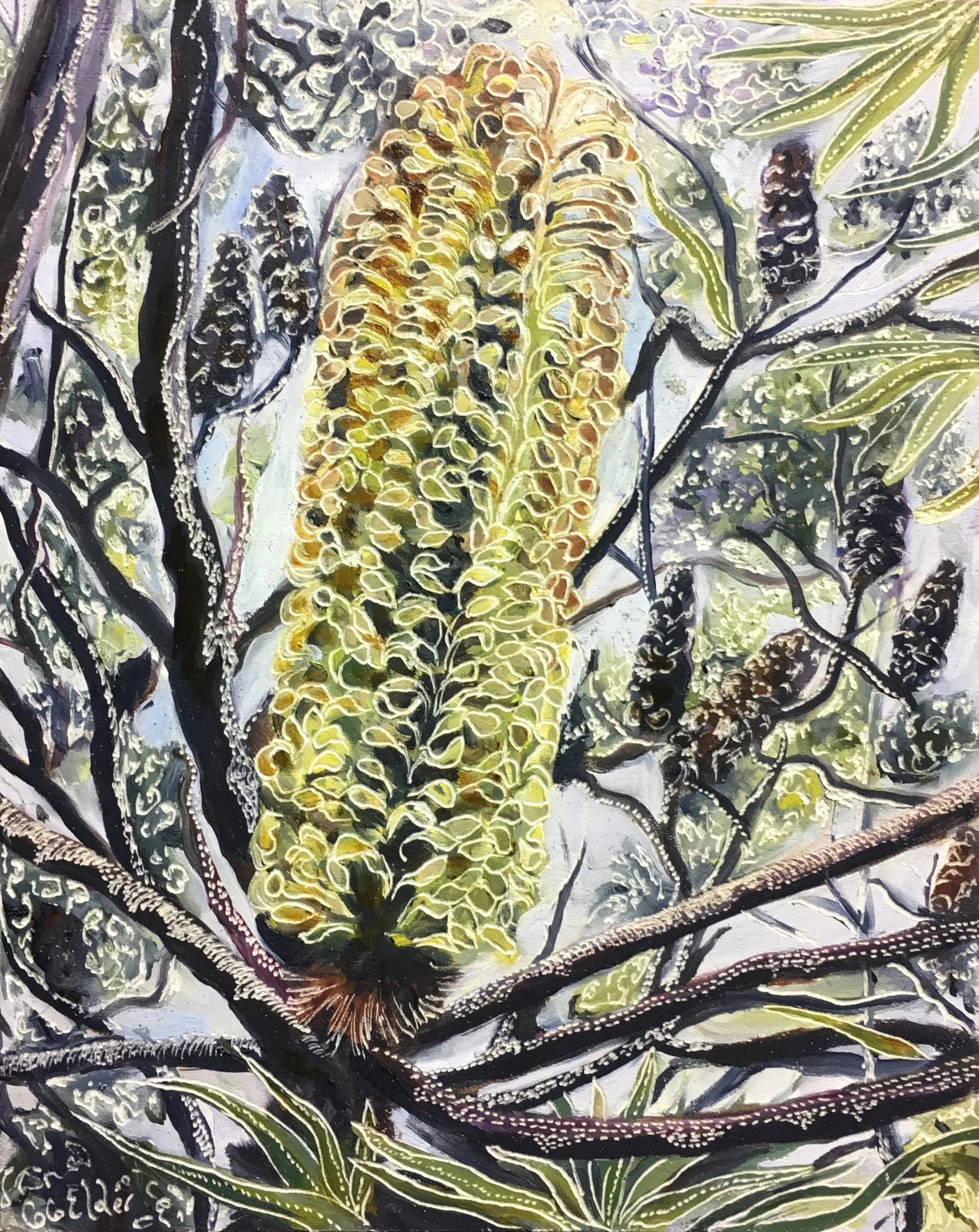 Integrifolia and Livistona in the Wet  Medium: oil on board carved  Dimensions: 25.5 x 20.5 cm