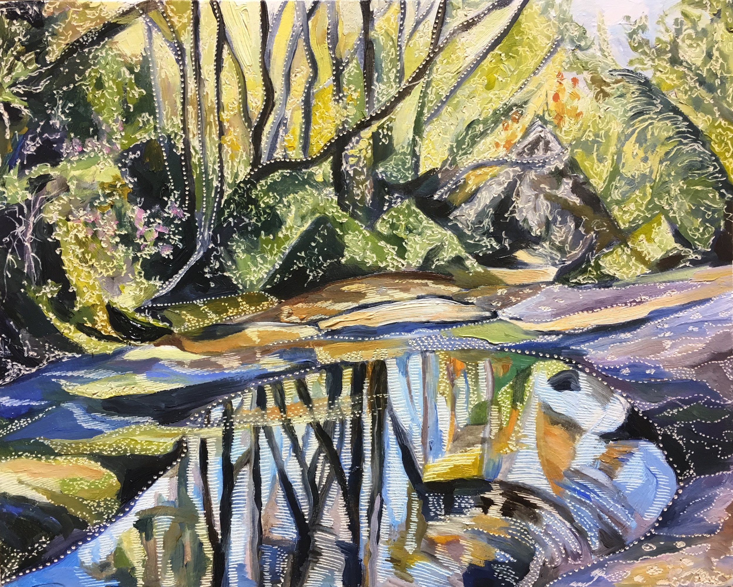 Study for Eriostemon and Banksia at Salvation Creek