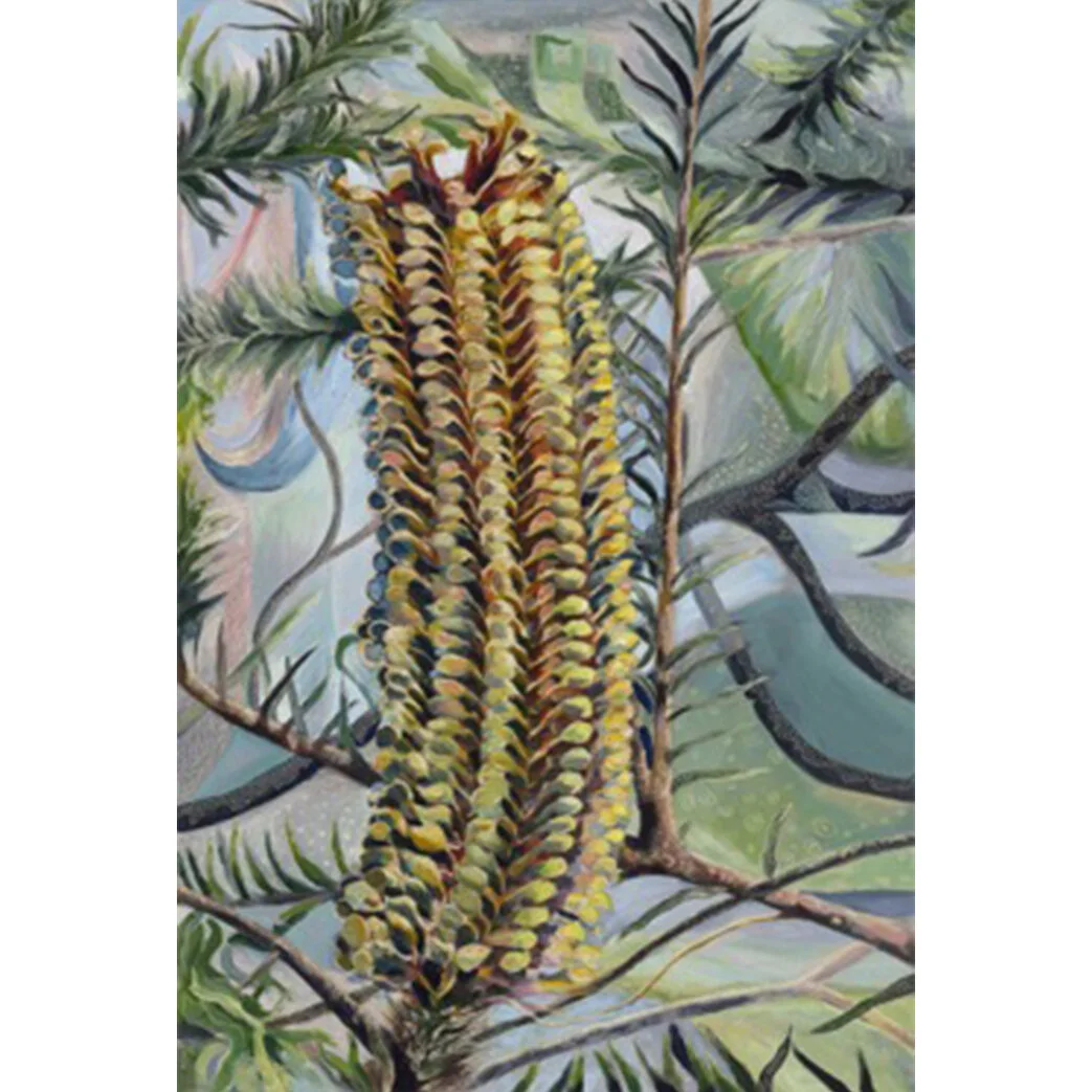 New Banksia Ericifolia in the Wet