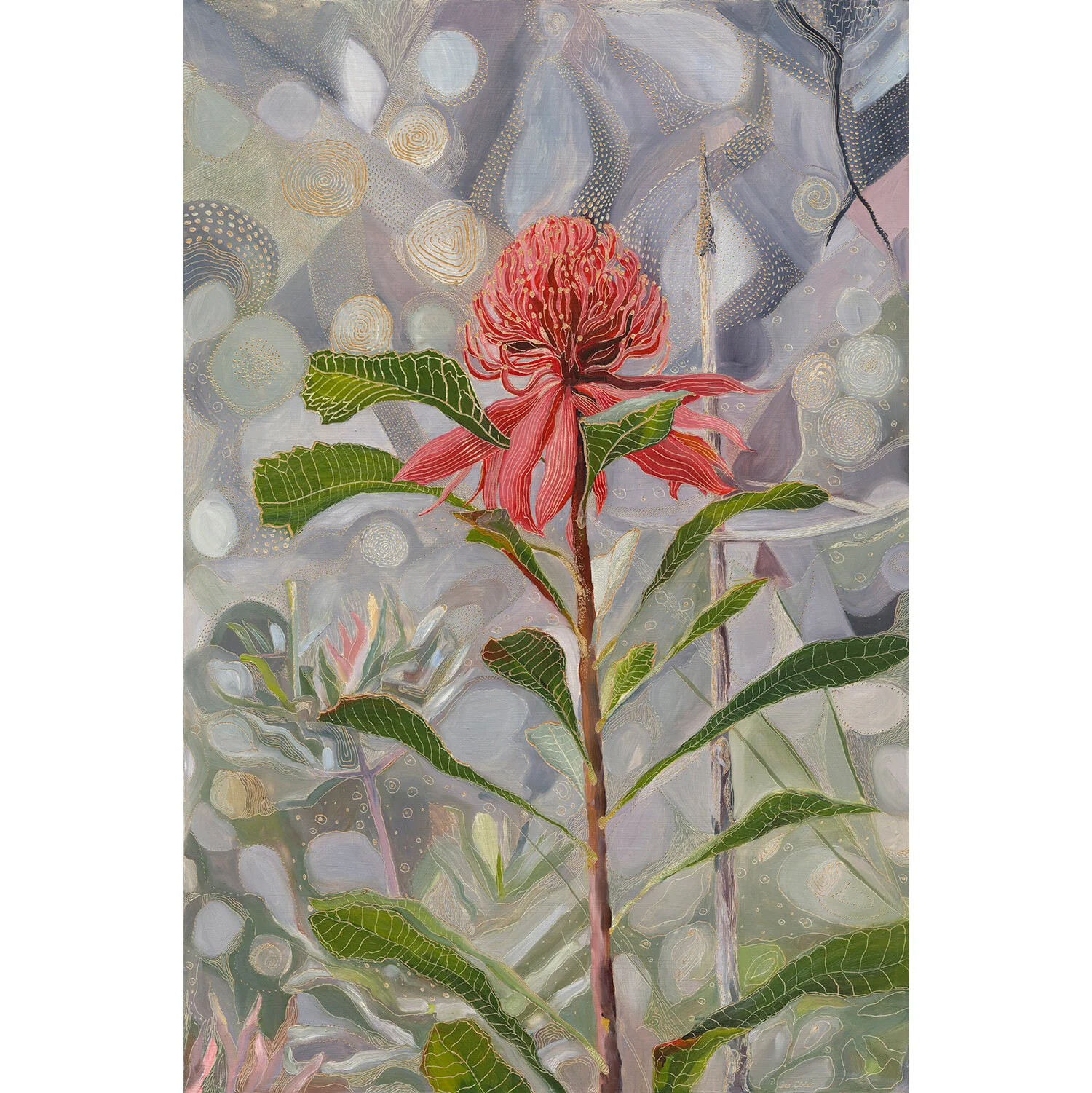 Coco-Elder-Fine-Art-Prints_Telopea.jpg