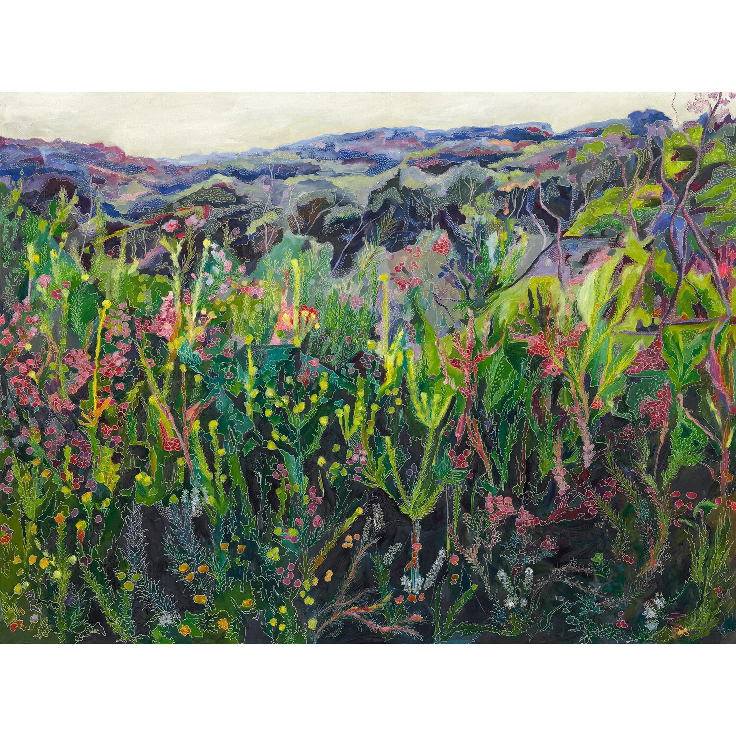 Hazy Escarpment in the Garden of Ku-Ring-Gai