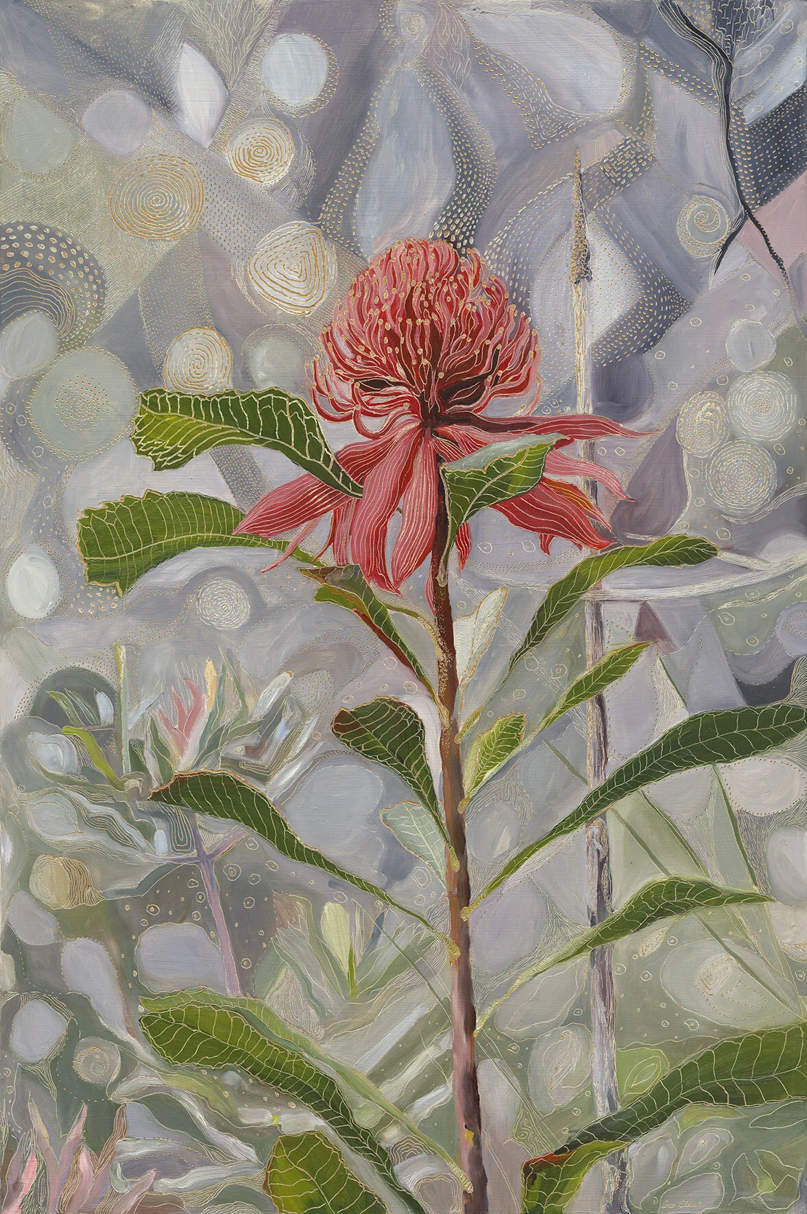 Water and Light on Telopea